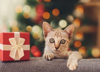 Szívmelengető ajándékok a fa alá Egyedi karácsonyi ajándékok