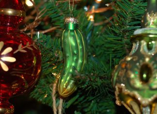 Hogyan került az uborka a fenyőfára?