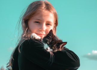 Már csak 2 hónapig lehet pályázni!