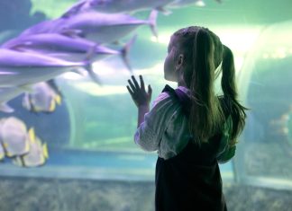 Egy szuperérzékeny kislány lelkének mélyén Egy szuperérzékeny kislány lelke