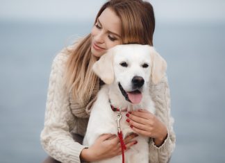 Íme egy kutyabarát bank