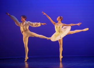 2023 a Magyar Operett Éve