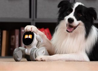 Kicsi robot, ami érzelmeket is felismer Robotkutya