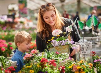 Hogyan vásároljunk muskátlit?