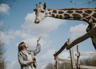 Majálisozz állatok társaságában