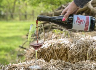 Walesi-magyar barátság napja: gasztroprogramokkal készülnek