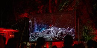 kvark-marton-szabolcs-koncert