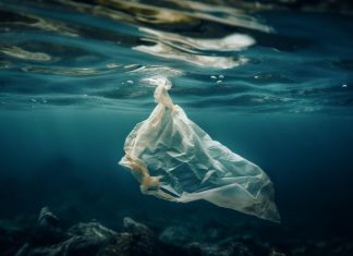 Óceáni műanyaghulladékból készült termékcímkék