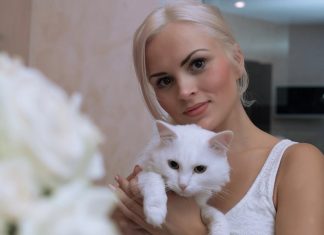 Macska testbeszéd – mit üzen a cicád?