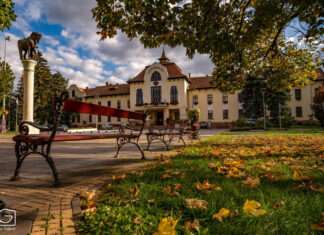 5 tipp, miért gyere ősszel Csongrádra!