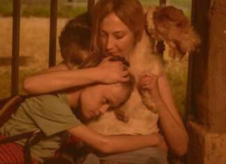 Itt láthatod a legjobb kortárs olasz filmeket